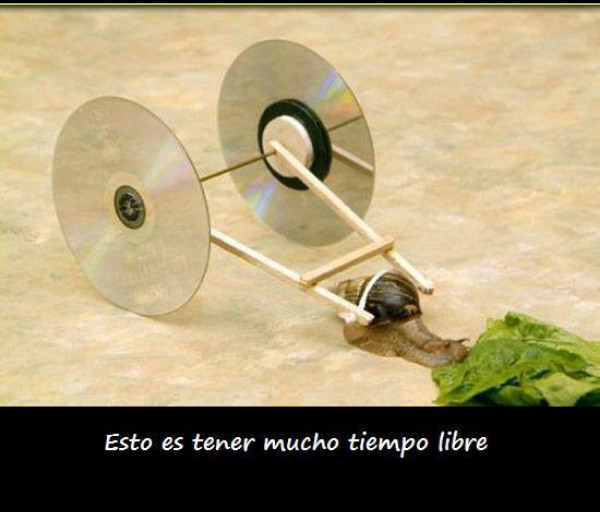 que tortura - meme