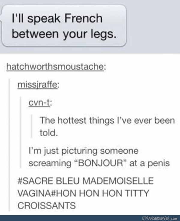 I'll speak french between your legs - meme