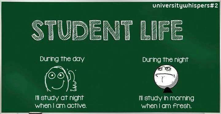 During the day. Студент лайф приколы. During the Day время. Student's Day funny.