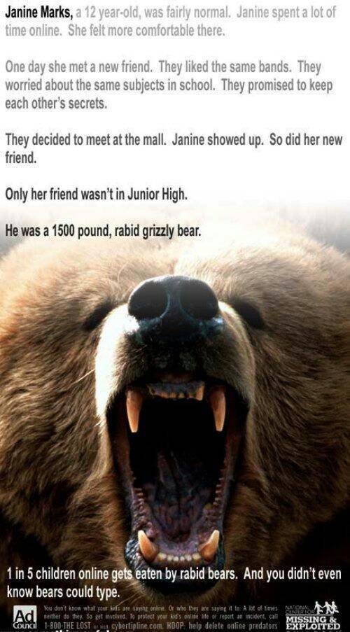 Beware of bear - meme