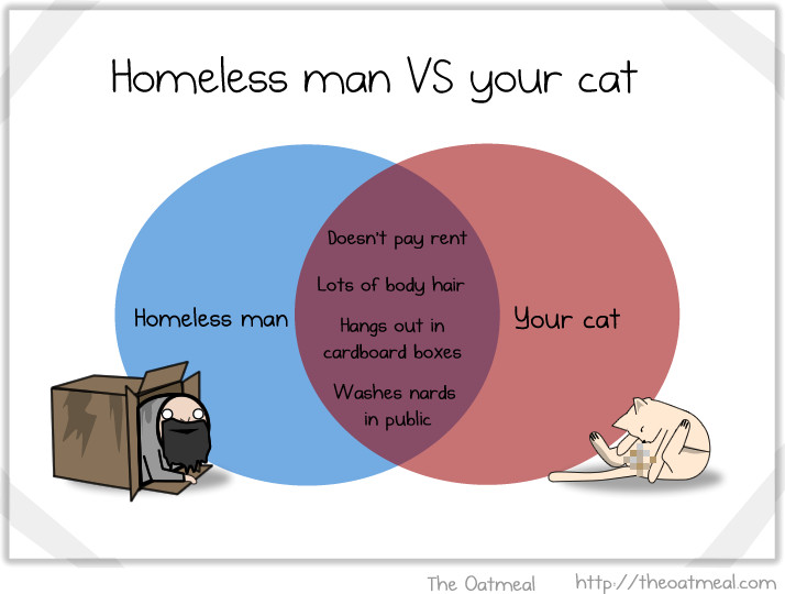 Cats > Homeless man - meme