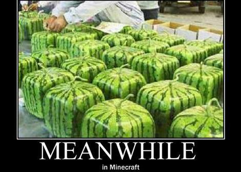 watermelon - Meme by duarte33 :) Memedroid