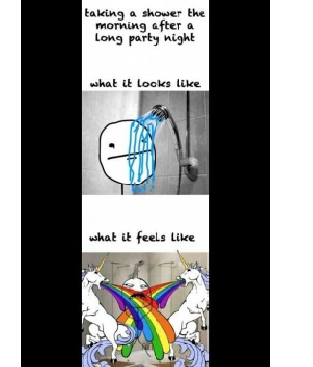 unicorn shower - meme