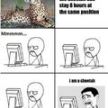 I am a cheetah
