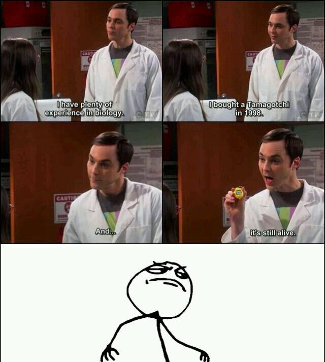 Sheldon..... - meme