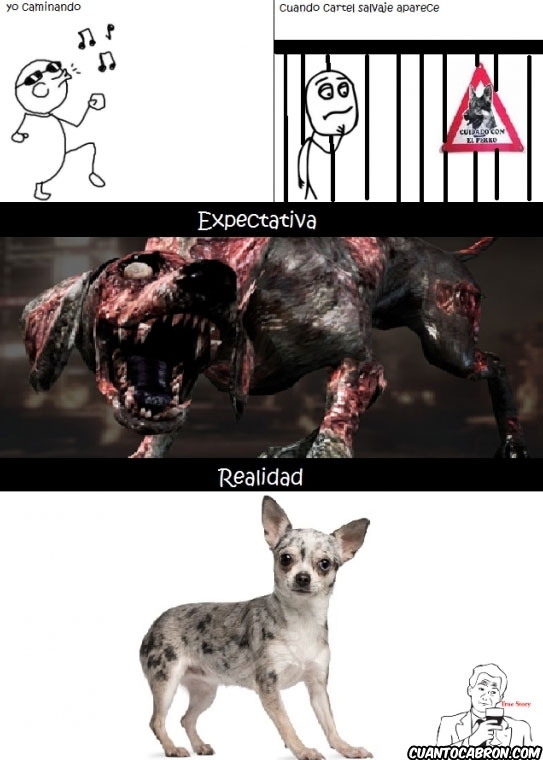 los perros - meme