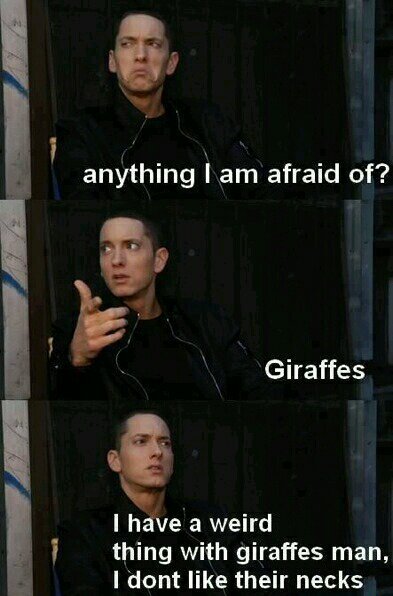 giraffes - meme