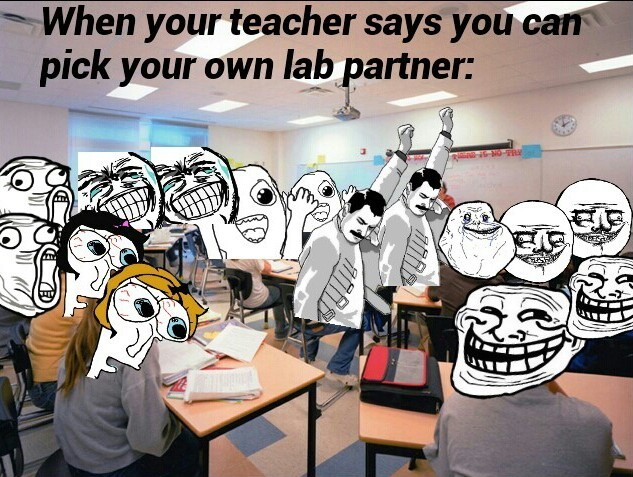 you can pick your own lab partner - meme