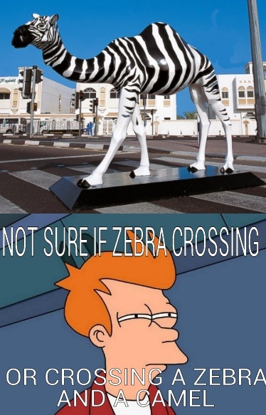 not sure if pedestrian crossing or cross breeding! - meme