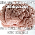 amazing brain