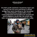 good guy homeless