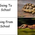 Going to school