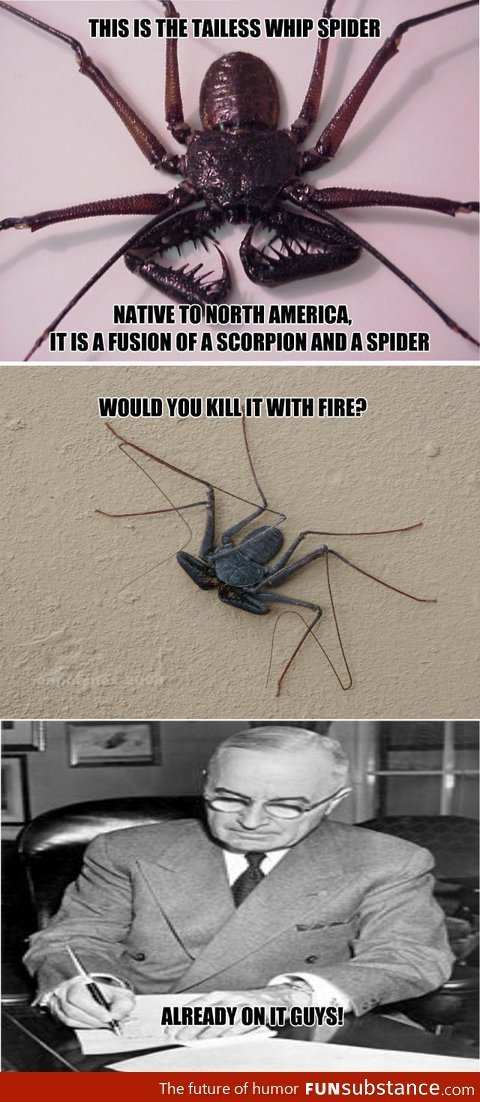 nope meme spider