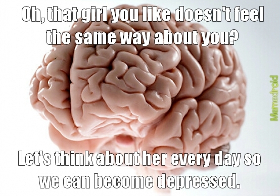 stupid brain... - meme