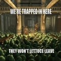 please lettuce leave
