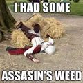 Assassins weed IV, Black Hash