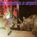 Rinoceronte campeon