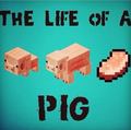 La vida de un cerdo xD