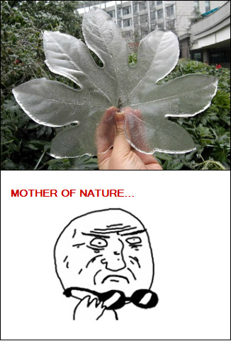 Mother of nature - meme