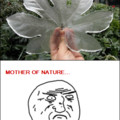Mother of nature