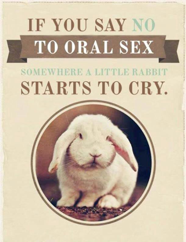 True Story, I'm a little rabbit! - meme