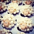 sheeps from marshmallows