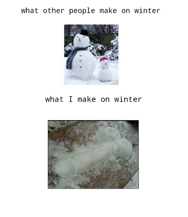 winter - meme