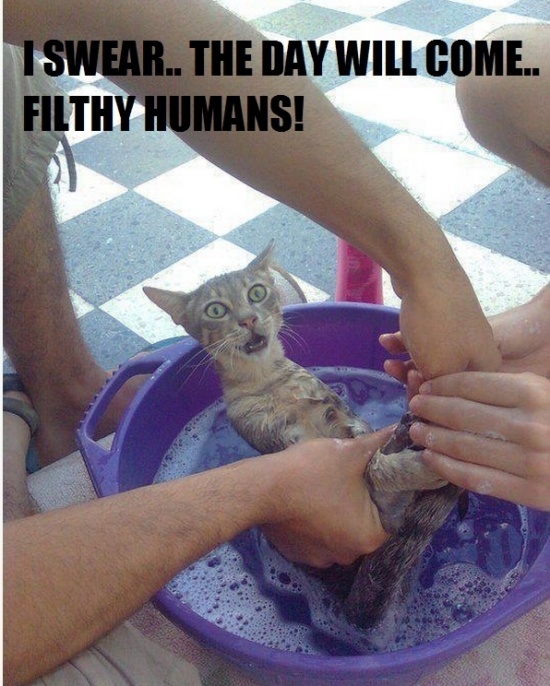 Not a human fuck was given that day - meme