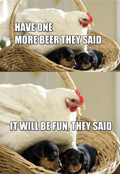 When chicks get drunk at parties - meme