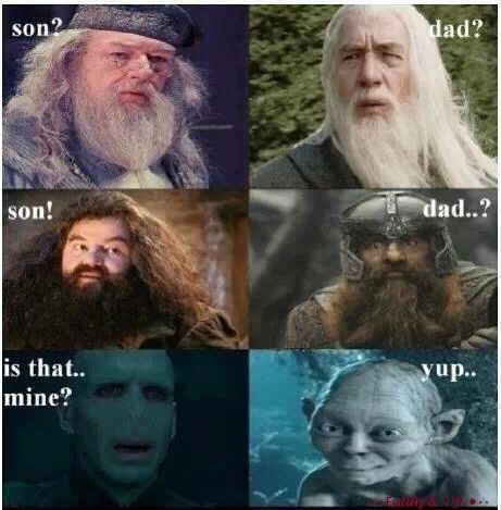 Hagrids a giant,Gimli's a dwarf - meme