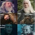 Hagrids a giant,Gimli's a dwarf