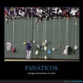 fanaticos
