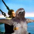 my favorite sloth pic