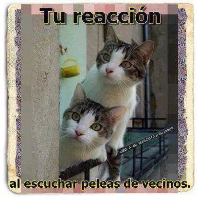 O.o - meme