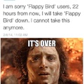 No more flappy birds on memedroid!