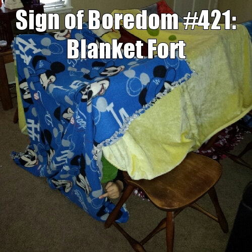 My Sister Made a Blanket Fort and Said That I Wasn't Invited - meme