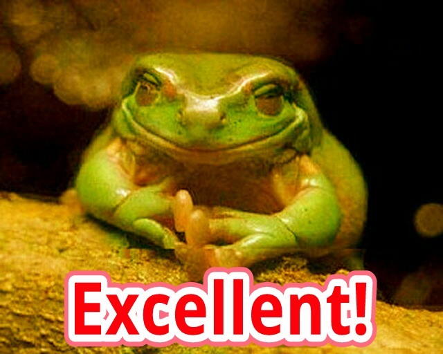 Burns the frog is pleased! - meme