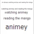 Whats animey and mango??