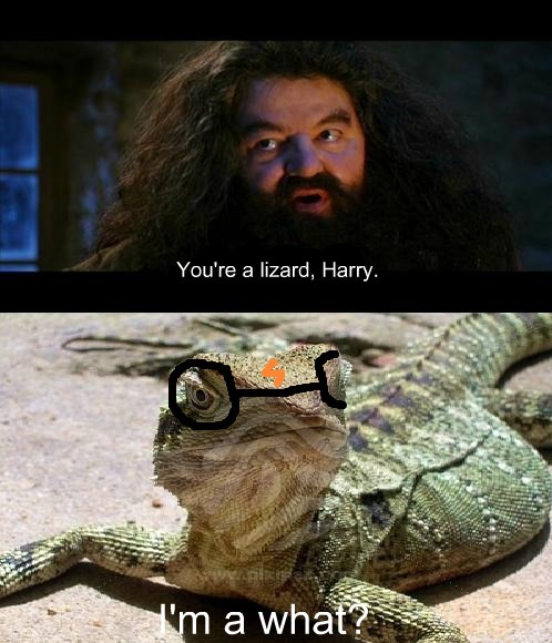 'Arry Potter? - meme