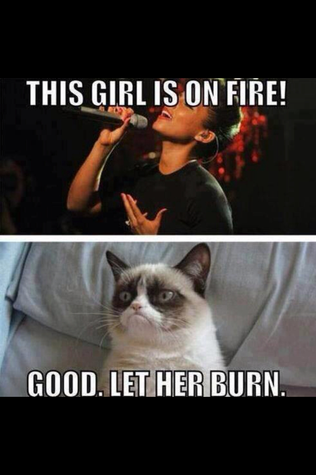 grumpy cat,this girl is on fire,courtney_n17,meme,memes,gifs,funny,pictures...