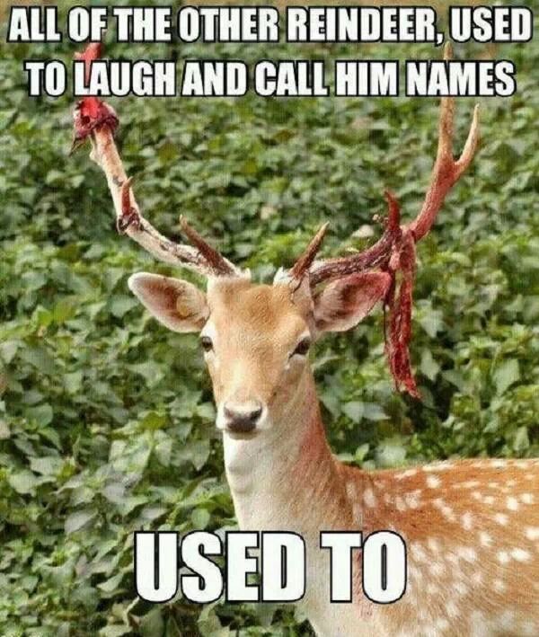 killer reindeer - meme