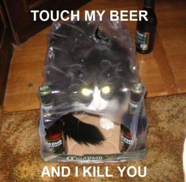 Toca mi cerveza y te mato - meme