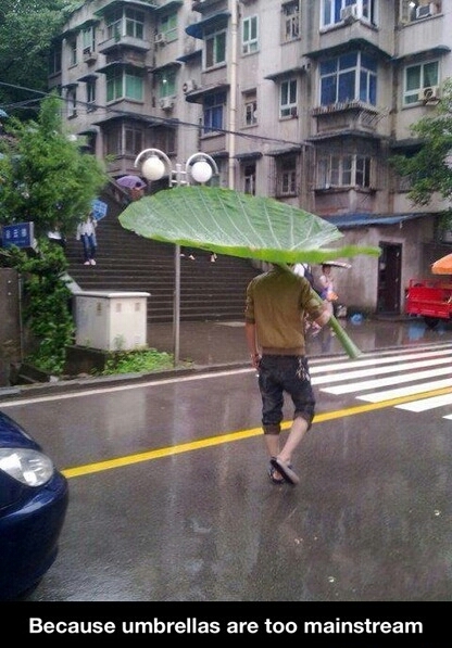 umbrellas are to mainstream - meme
