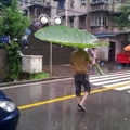 umbrellas are to mainstream