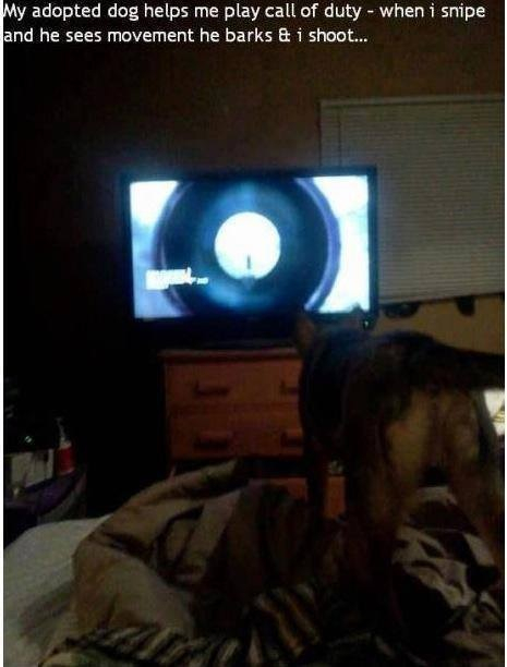 My hunting dog  - meme
