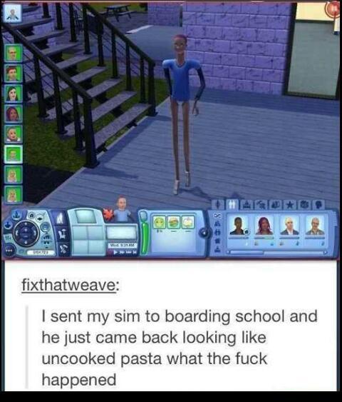 When you send a sim to boarding school... - meme