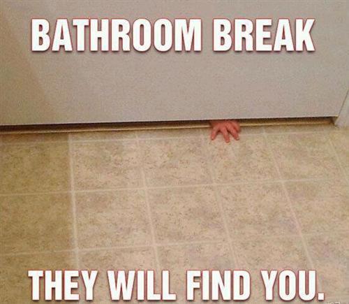 Bathroom Break - meme