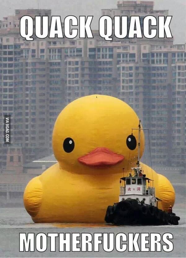 quack!!!! - meme