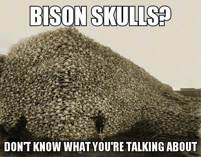 bison skulls - meme