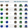 voilà les pourcentage des yeux de  votre bébé